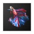 Framed Betta Fish Matte Canvas Print — Vibrant Red & Blue Aquarium Wall Art