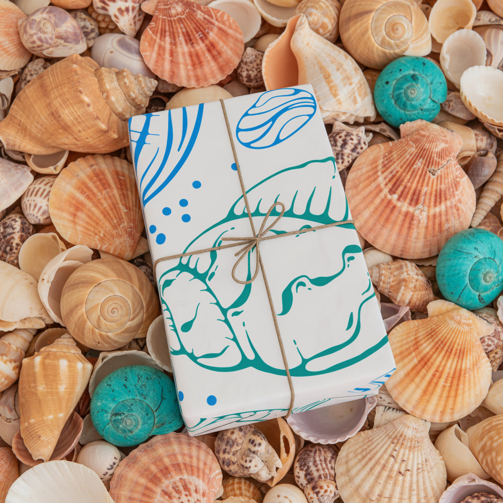 Seashells by the seashore Wrapping Paper | Ocean Shells Gift Wrap Roll