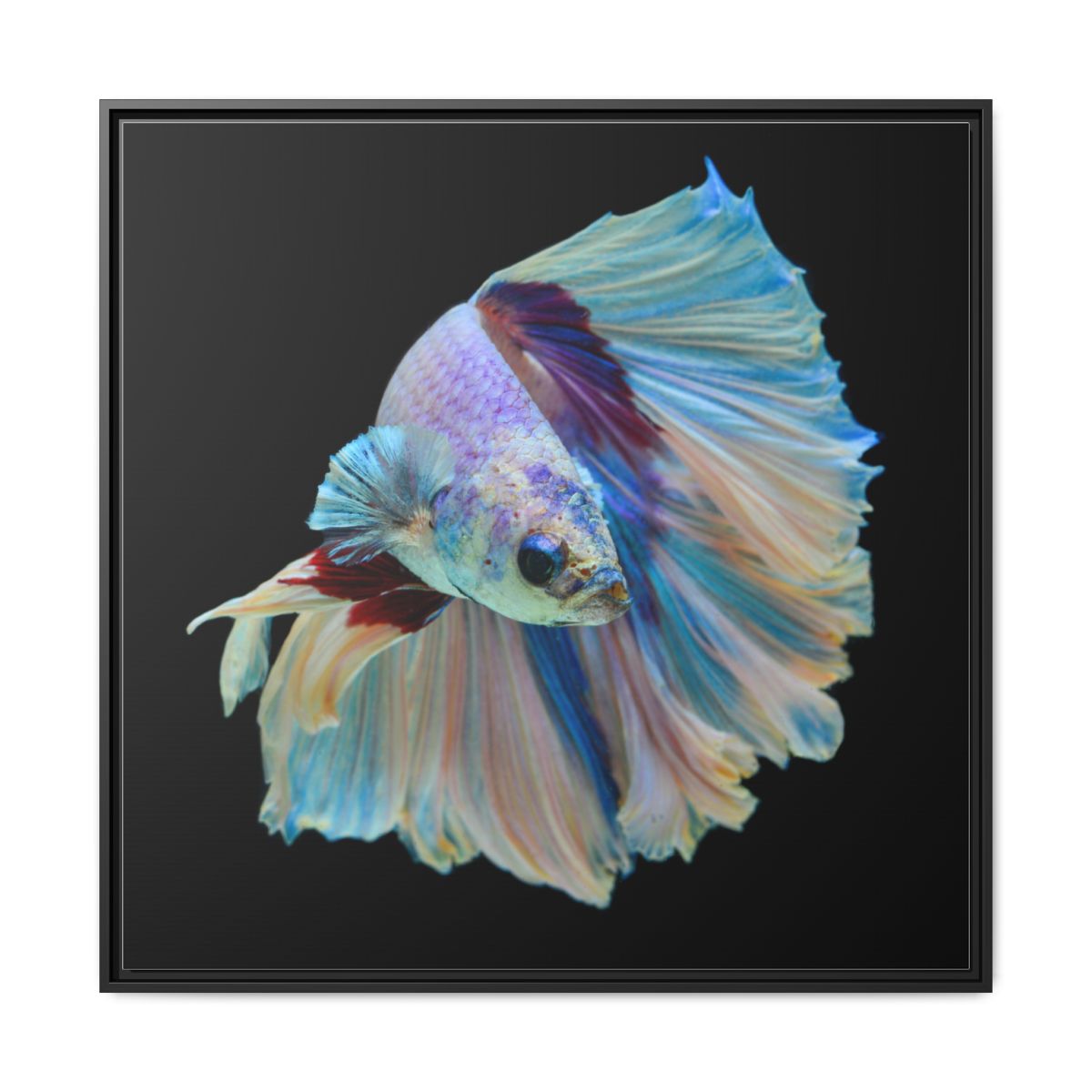 Framed Matte Canvas Wall Art — Pastel Betta Fish Print