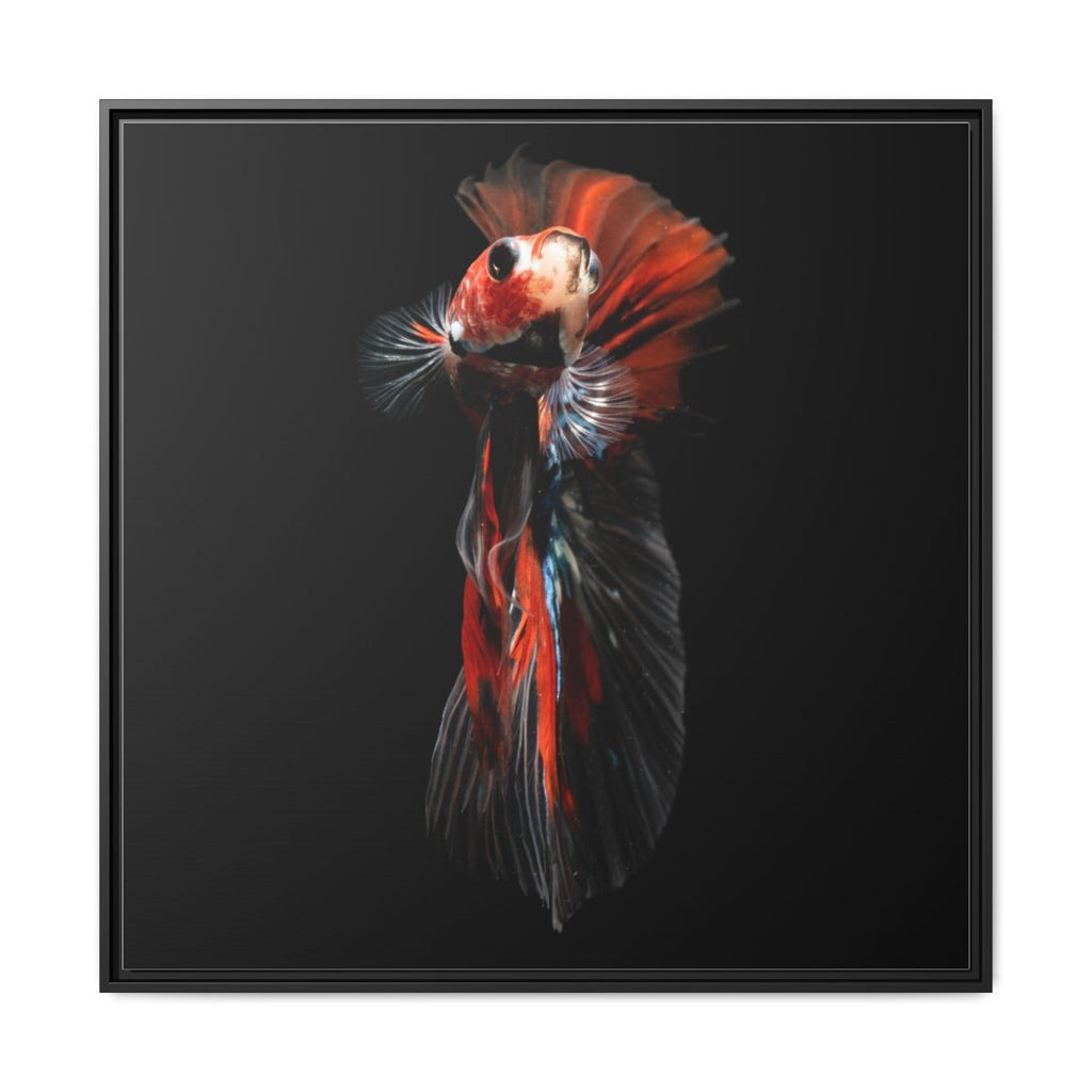 Framed Matte Canvas - Red & Black Betta Fish Wall Art