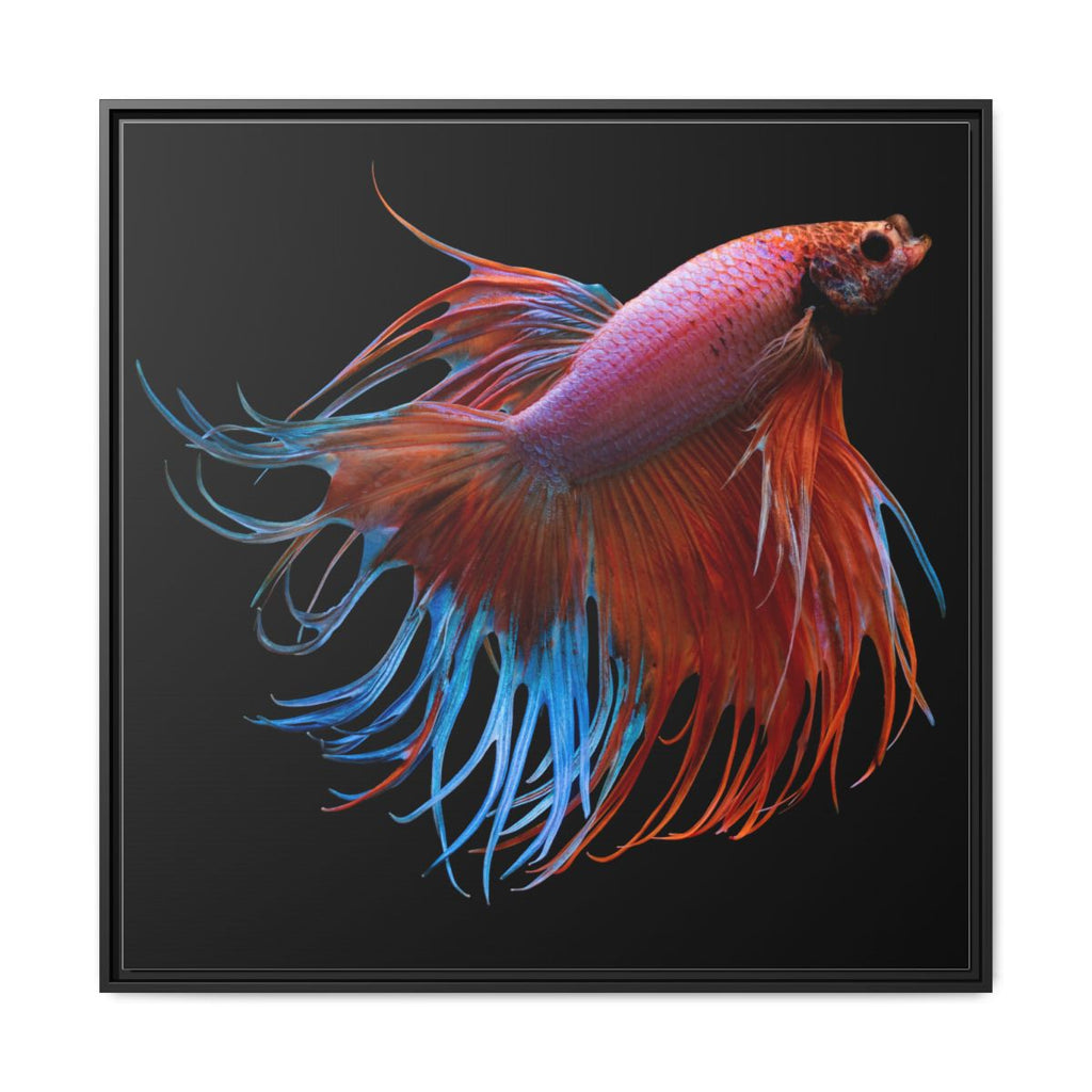 Framed Matte Canvas Art — Vibrant Betta Fish Wall Print