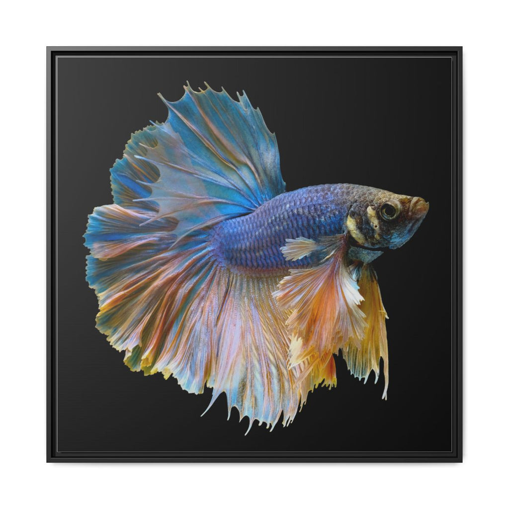 Framed Matte Canvas - Colorful Betta Fish Wall Art