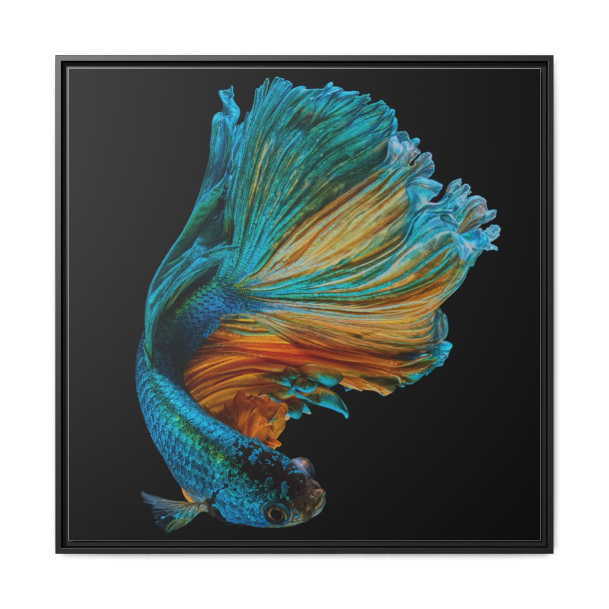 Vibrant Betta Fish Matte Canvas Print — Framed Tropical Fish Wall Art
