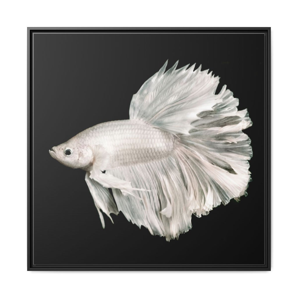 Framed Matte Canvas - White Betta Fish Wall Art