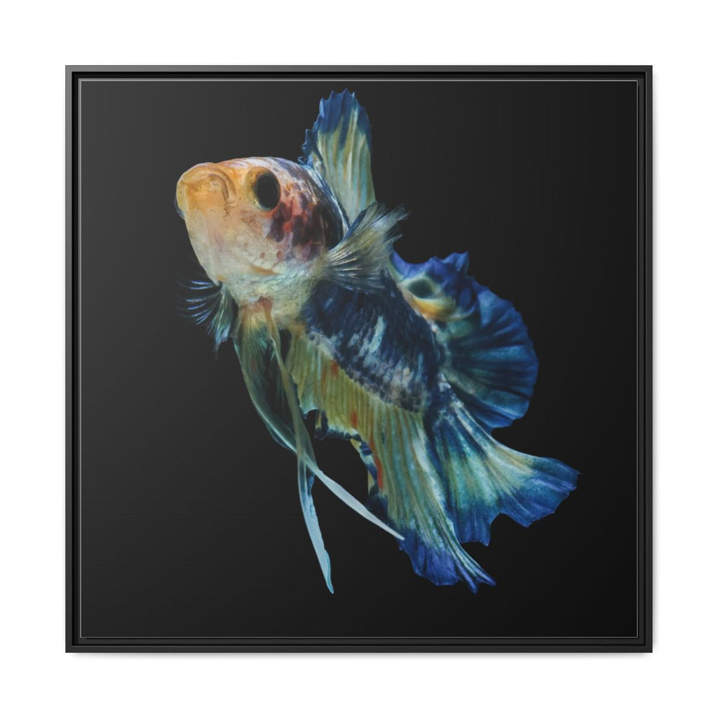 Framed Matte Canvas - Colorful Betta Fish Wall Art